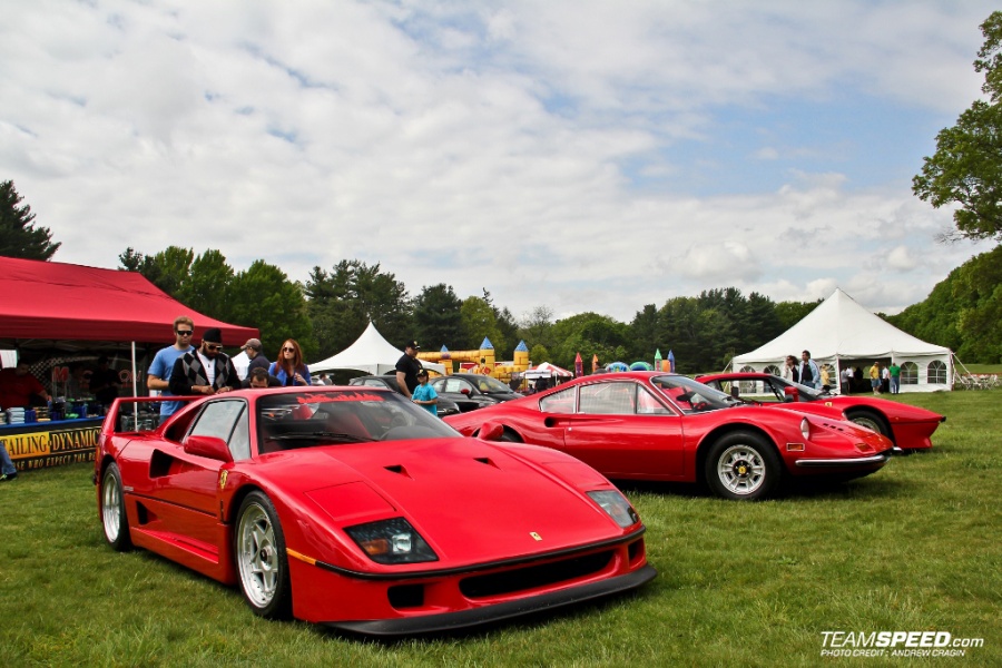 Name:  IMG_4904 (1024x683).jpg
Views: 1201
Size:  207.4 KB