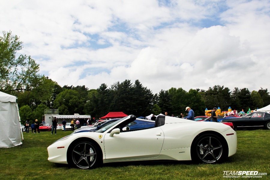 Name:  IMG_4733 (1024x683).jpg
Views: 1057
Size:  192.1 KB