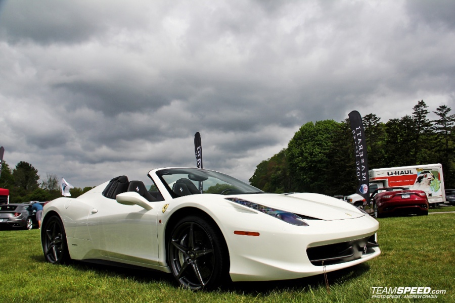 Name:  IMG_4858 (1024x683) (2).jpg
Views: 1054
Size:  176.5 KB