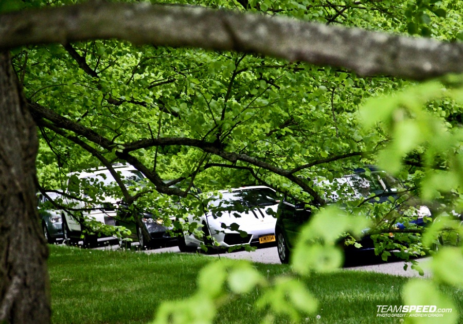 Name:  IMG_5050 (1024x717).jpg
Views: 1045
Size:  311.8 KB