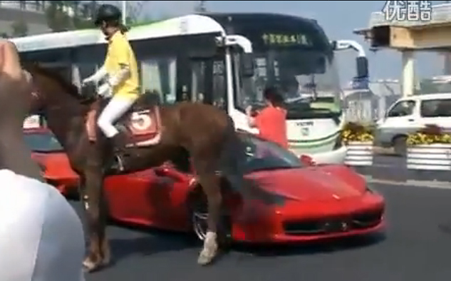 Name:  hoofs3.jpg
Views: 1467
Size:  135.2 KB