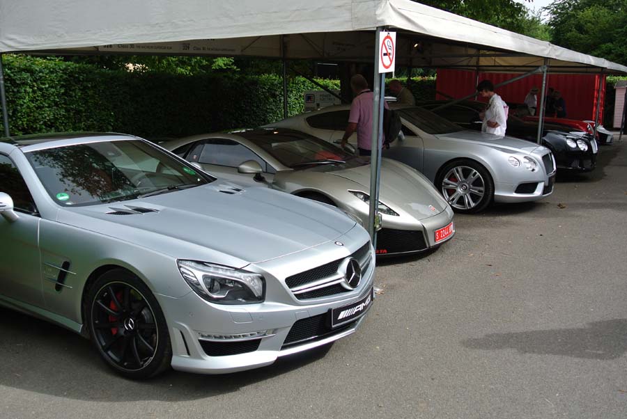 Name:  Goodwood_Festival_of_Speed_2012_-_Supercar_Paddock.jpg
Views: 1660
Size:  100.7 KB