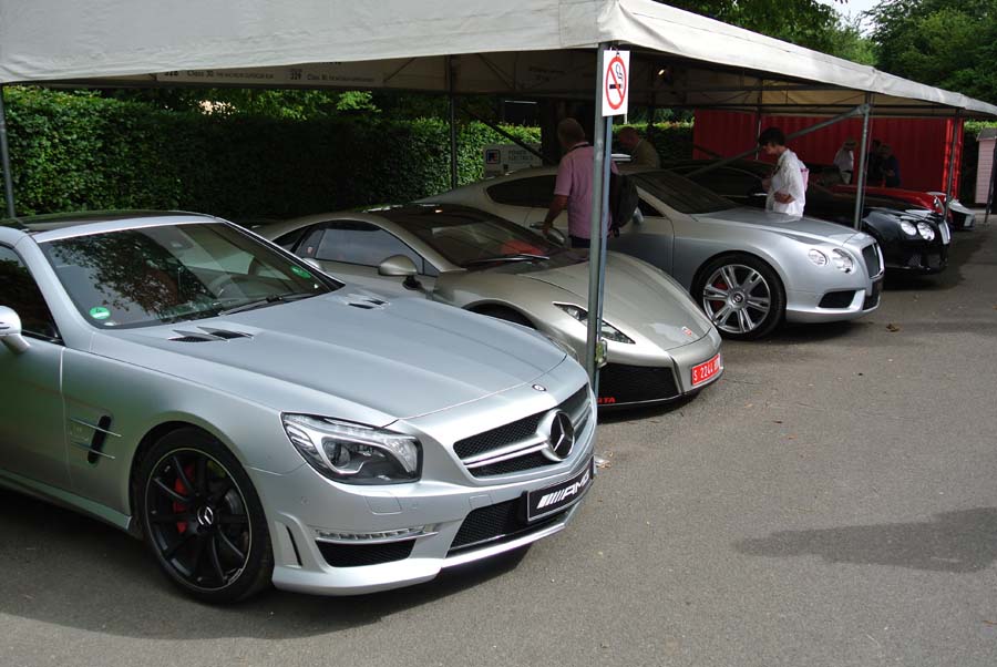 Name:  Goodwood_Festival_of_Speed_2012_-_Supercar_Paddock.jpg
Views: 1731
Size:  100.7 KB