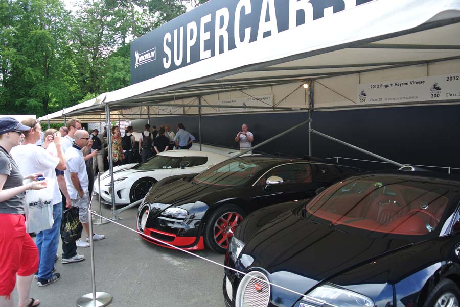 Name:  Goodwood_Festival_of_Speed_2012_-_Supercar_Paddock(7).jpg
Views: 1446
Size:  118.3 KB