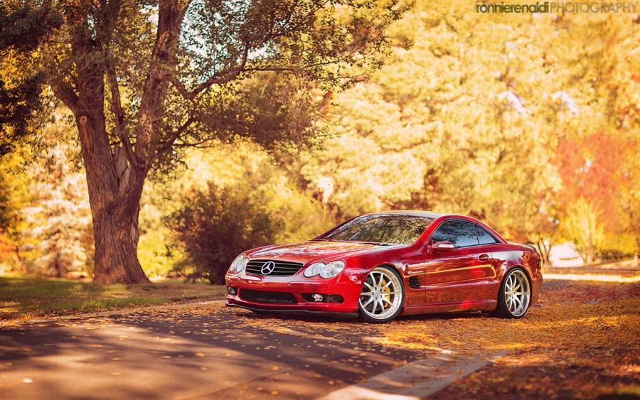 Name:  SL55_Fall_7Oct2012_08.jpg
Views: 5190
Size:  307.2 KB