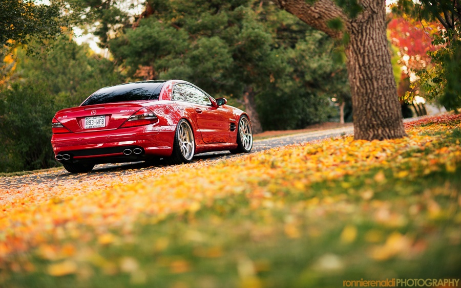 Name:  SL55_Fall_7Oct2012_09.jpg
Views: 1484
Size:  211.8 KB