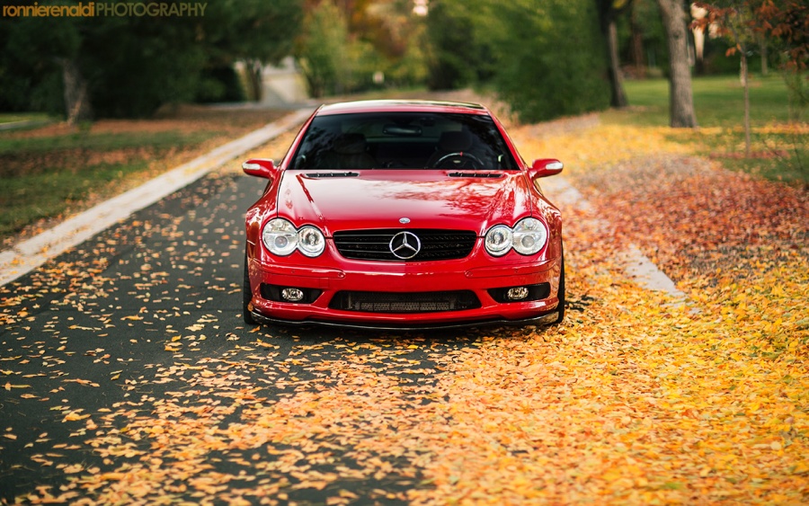 Name:  SL55_Fall_7Oct2012_07.jpg
Views: 1582
Size:  271.1 KB