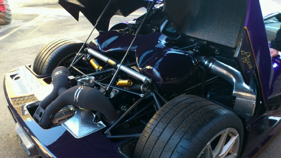 Name:  purple-2-1.jpg
Views: 2301
Size:  179.9 KB