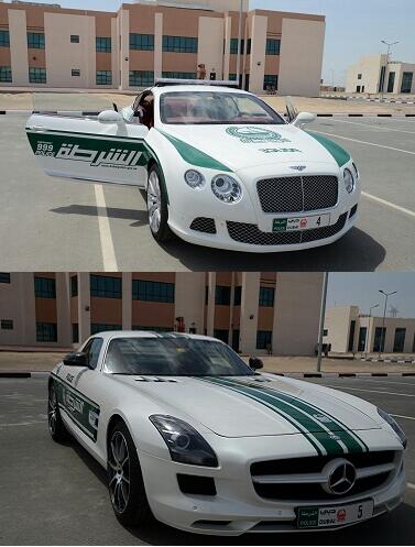 Name:  Police supercar.jpg
Views: 713
Size:  36.3 KB
