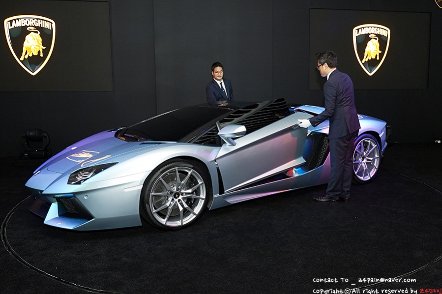 Name:  DSC_8328.jpg
Views: 496
Size:  165.5 KB