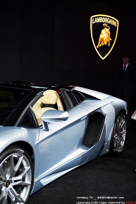 Name:  DSC_8471.jpg
Views: 465
Size:  101.6 KB