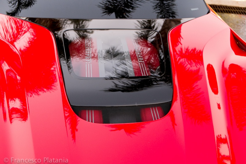 Name:  _DSF8625.jpg
Views: 5006
Size:  130.6 KB