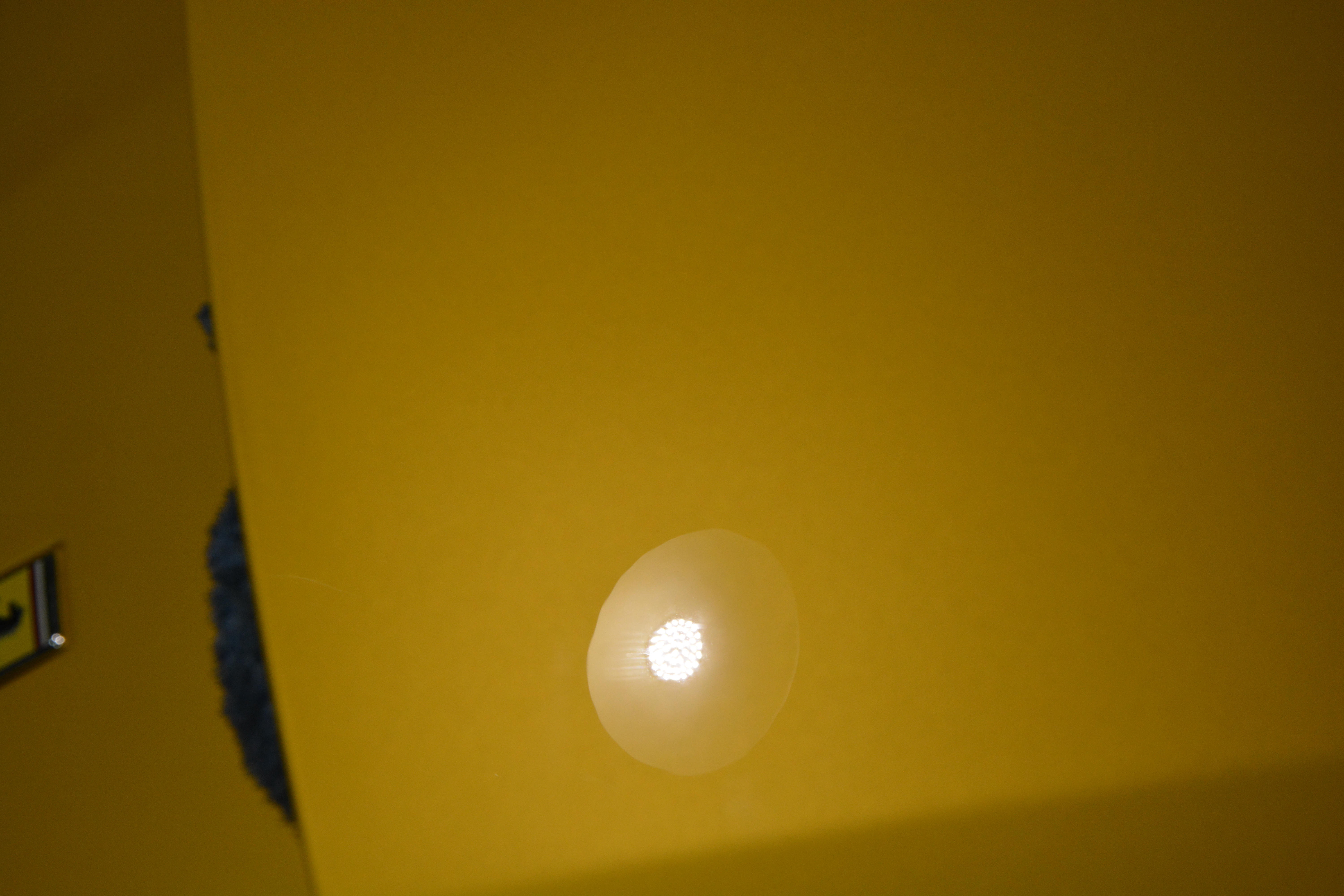 Name:  DSC_1458_zps46ppev8d.jpg
Views: 297
Size:  14.03 MB