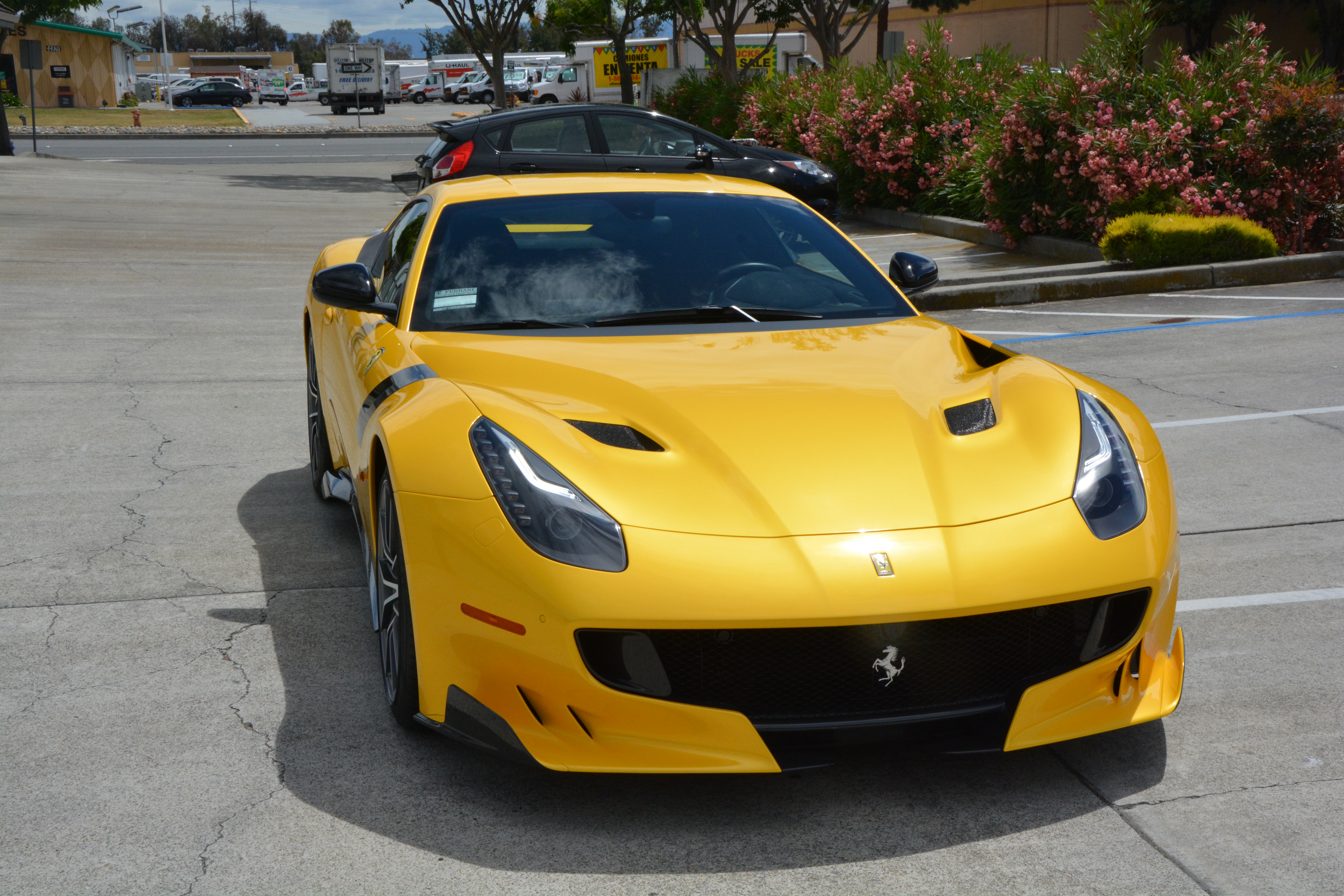 Name:  DSC_1531_zps0sibf4kn.jpg
Views: 293
Size:  12.89 MB