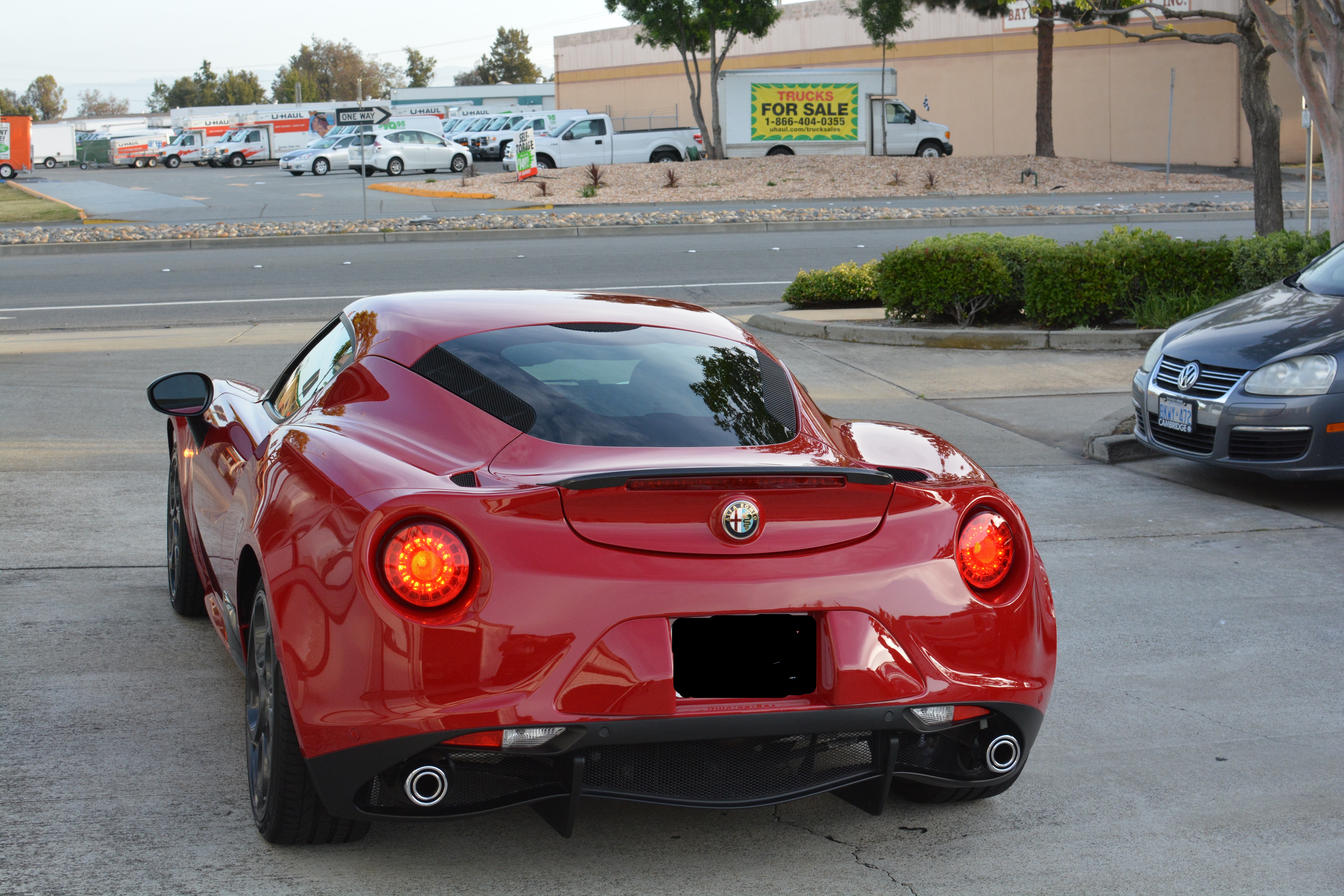 Name:  DSC_9519_zpspwljgccs.jpg
Views: 222
Size:  12.23 MB