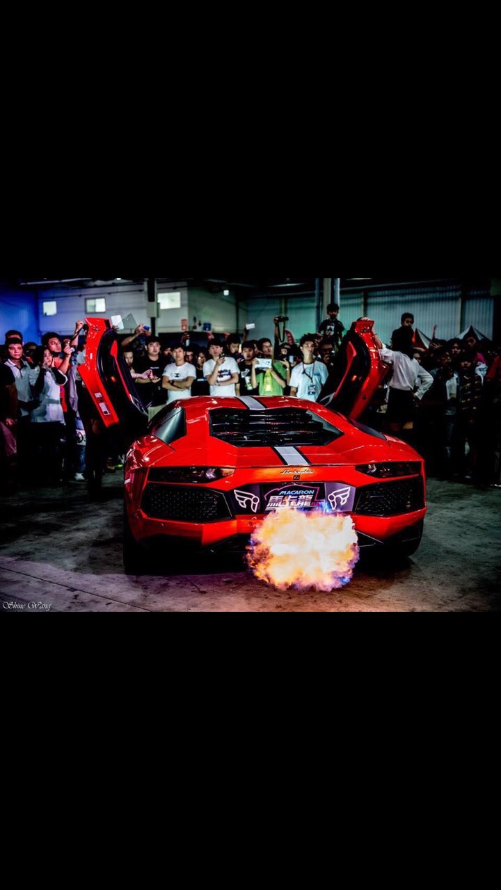 Name:  IMG_6605_zps9a7d0c1e.jpg
Views: 29
Size:  129.9 KB