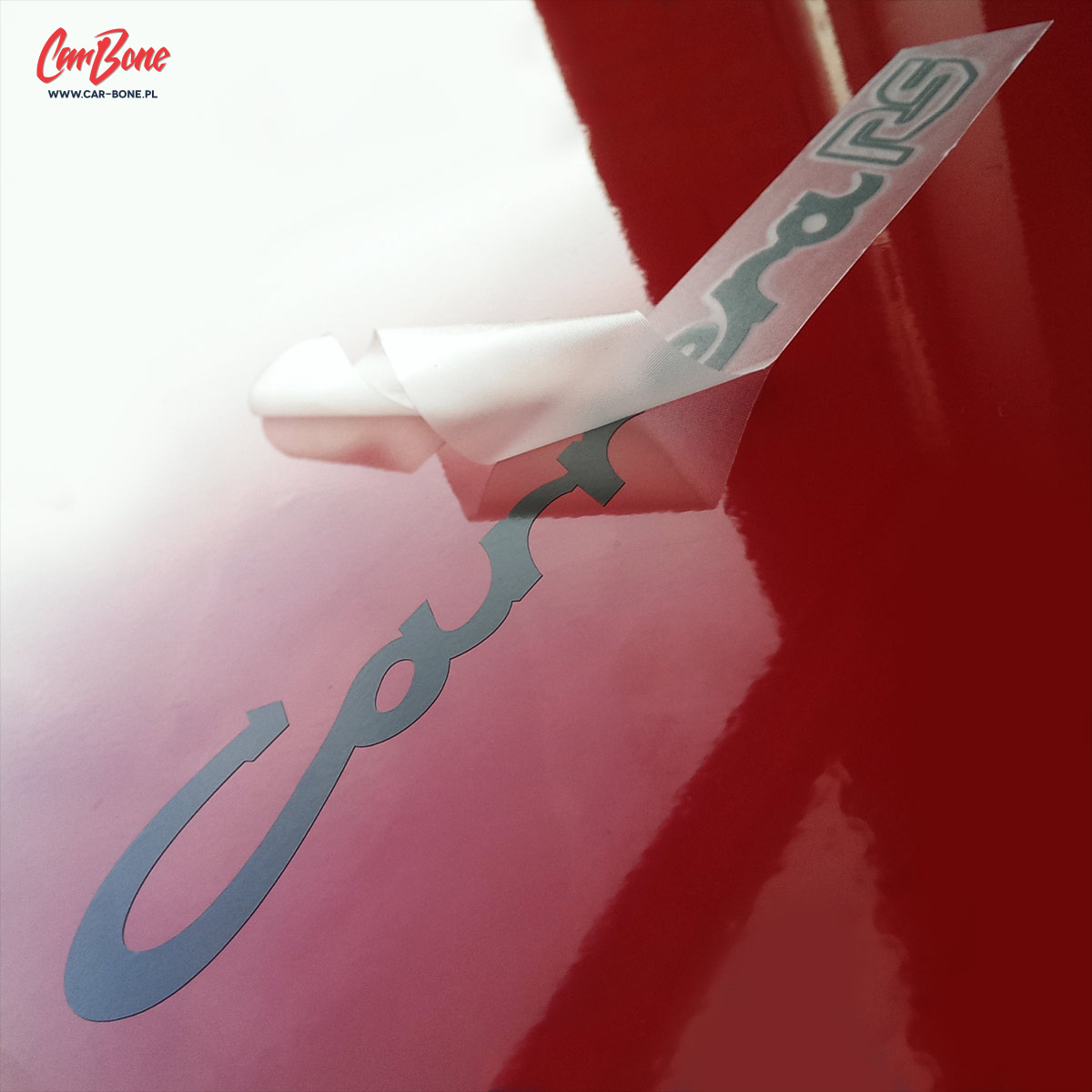 Name:  carbone_porsche_carrera_ducktail_91155903605_6_zps6571727e.jpg
Views: 326
Size:  151.1 KB