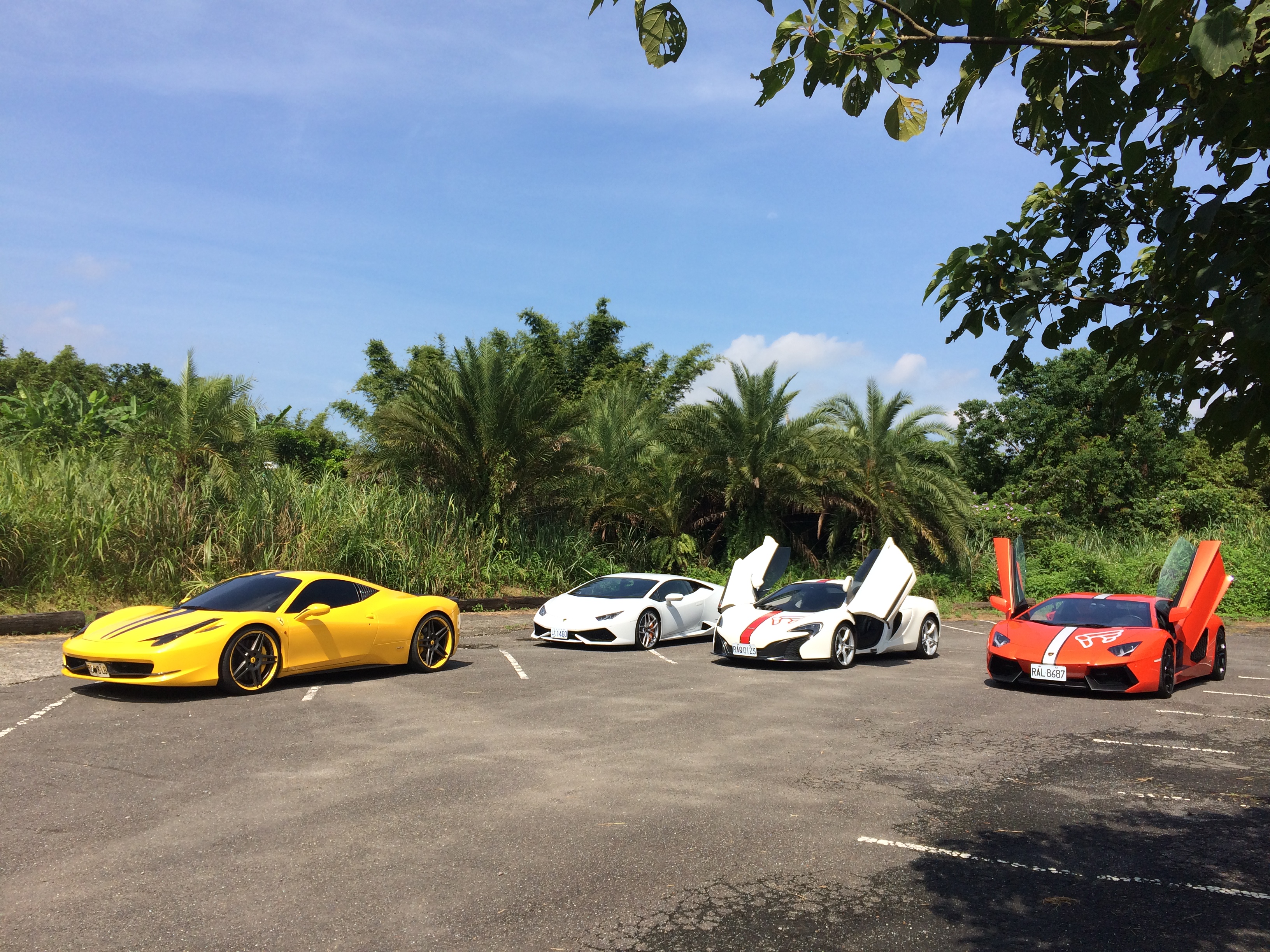 Name:  IMG_0390_zps9956b8bf.jpg
Views: 123
Size:  3.16 MB