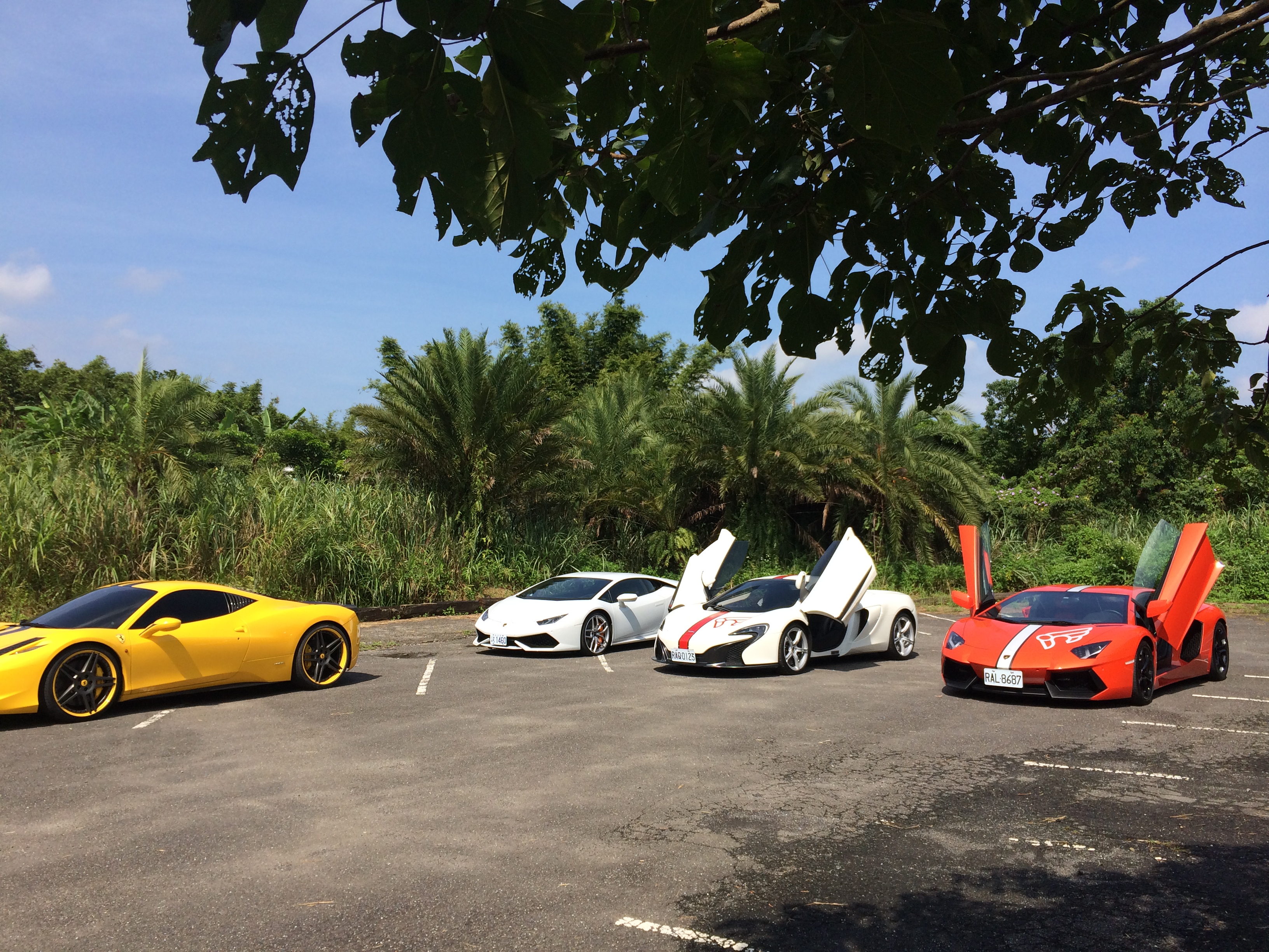 Name:  IMG_0389_zps73a91024.jpg
Views: 176
Size:  3.23 MB