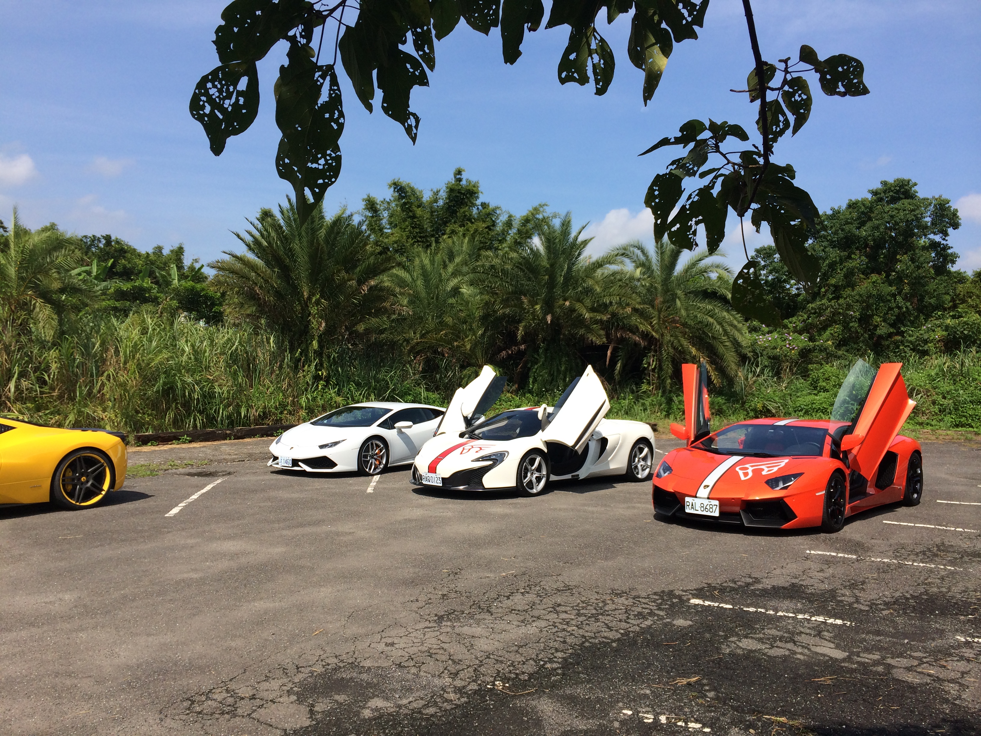 Name:  IMG_0388_zps2d2c04a9.jpg
Views: 92
Size:  3.30 MB