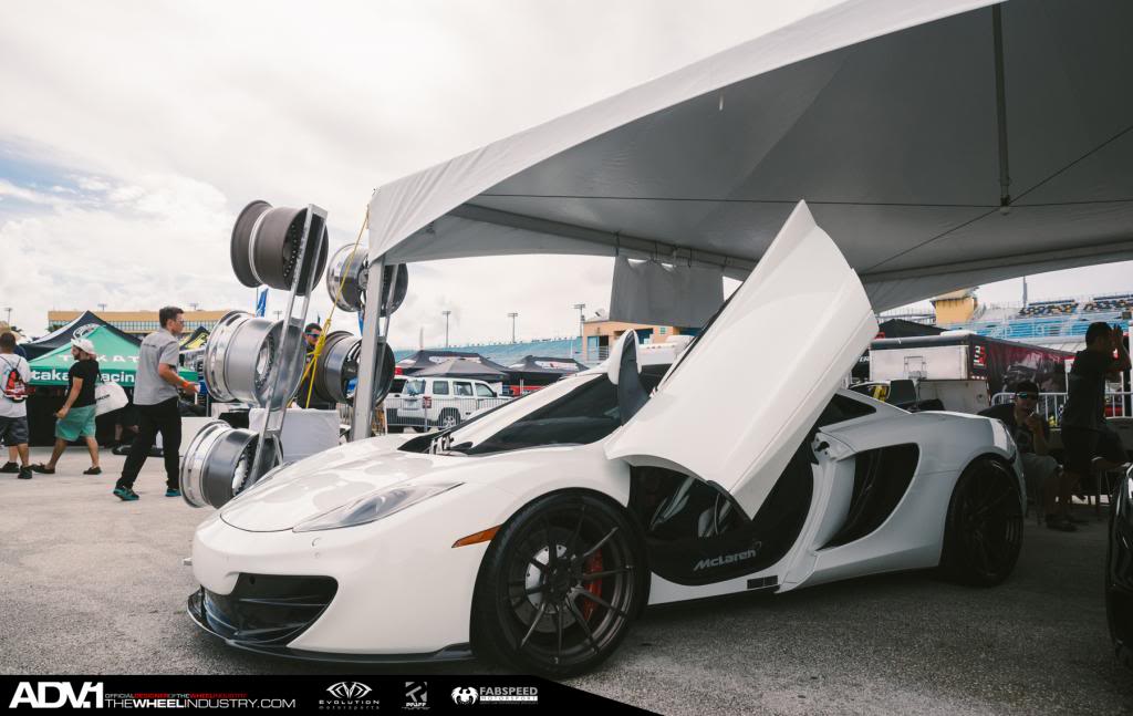 Name:  P5300146-2.jpg
Views: 43
Size:  78.9 KB