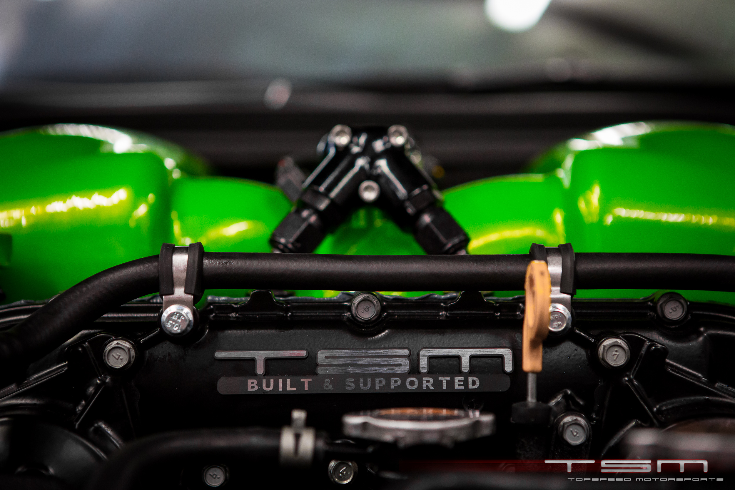 Name:  FF9A9639_zpsc5789137.jpg
Views: 39
Size:  1.40 MB