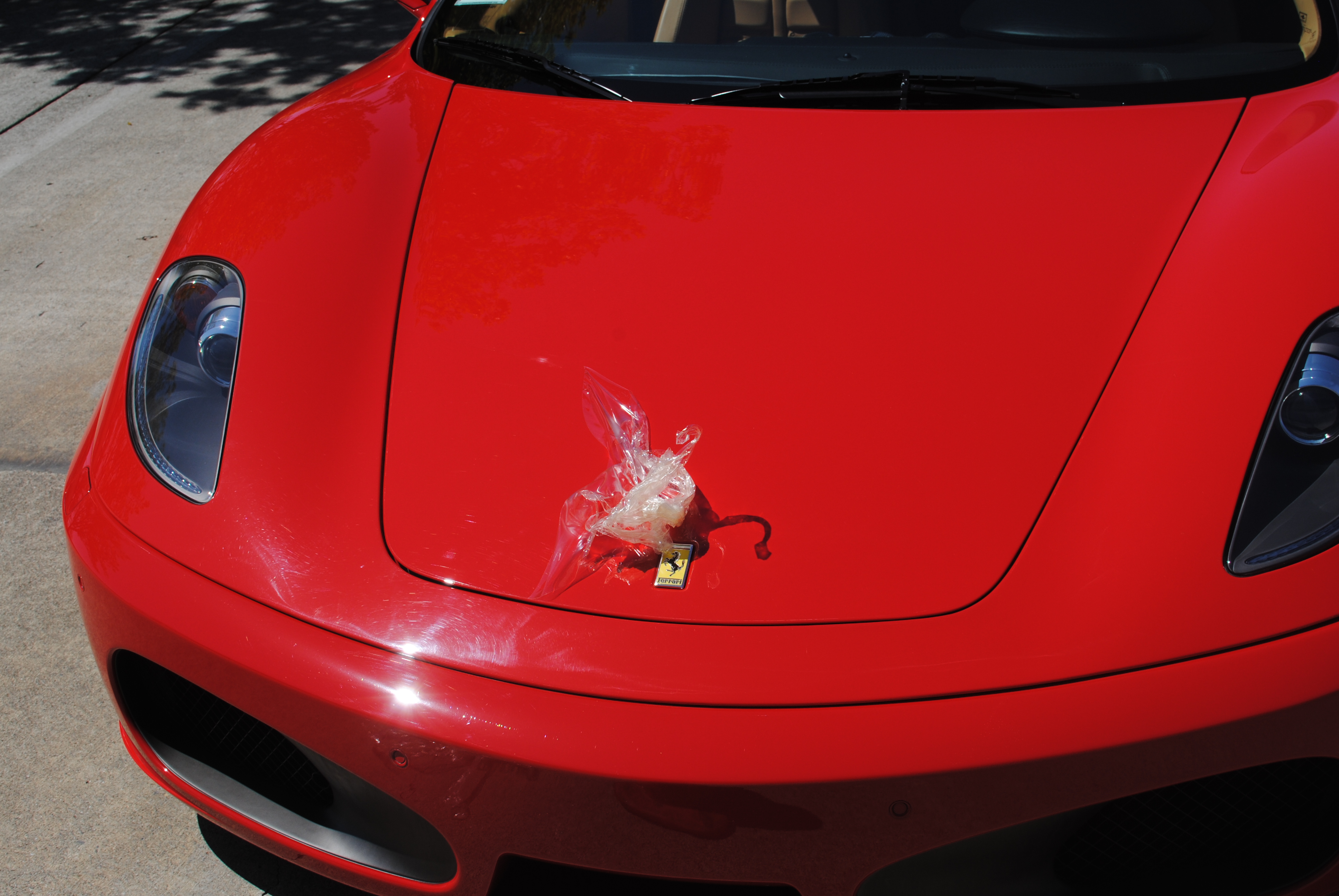 Name:  D023_zps400c66eb.jpg
Views: 120
Size:  2.98 MB