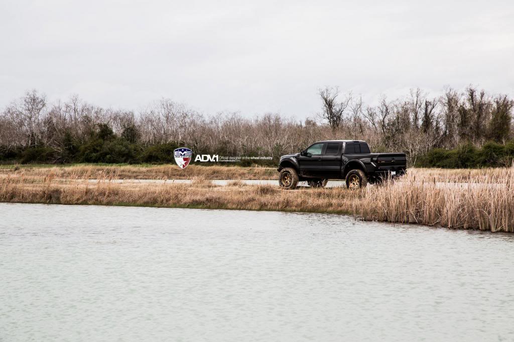 Name:  Ford_F150_Raptor_ADV6TFSL_38.jpg
Views: 127
Size:  89.9 KB