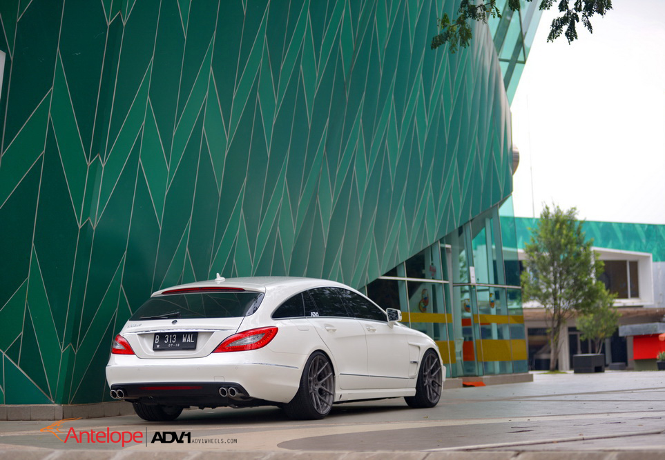 Name:  DSC_30051_resize.jpg
Views: 470
Size:  413.1 KB