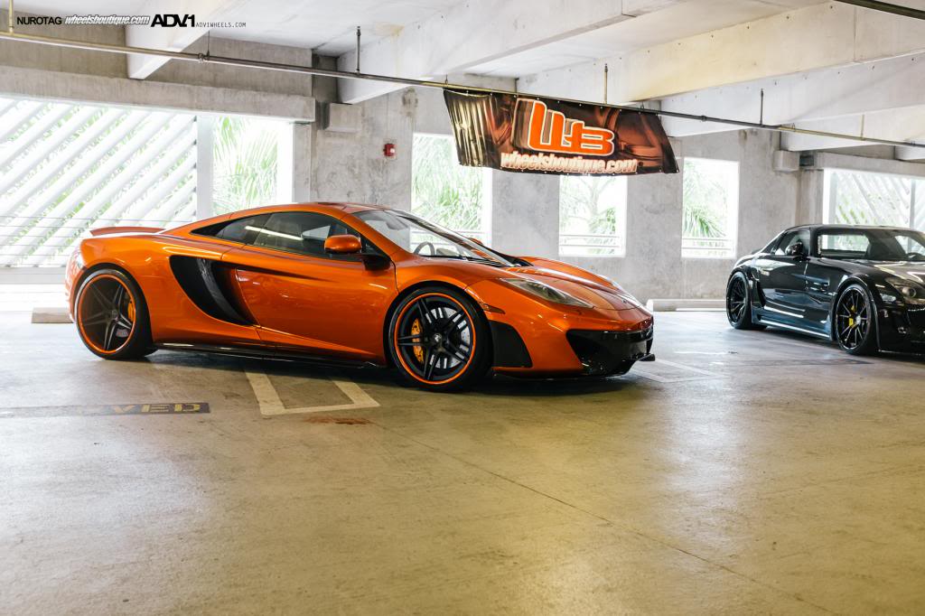 Name:  DSCF8216.jpg
Views: 45
Size:  97.3 KB