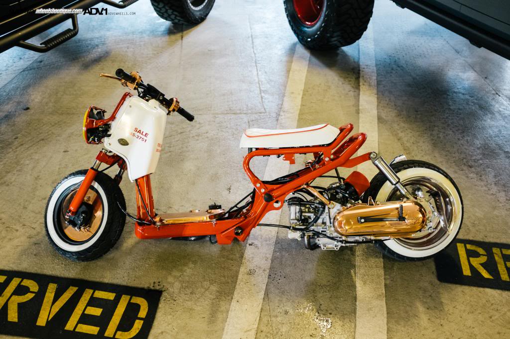 Name:  DSCF8213.jpg
Views: 44
Size:  123.6 KB