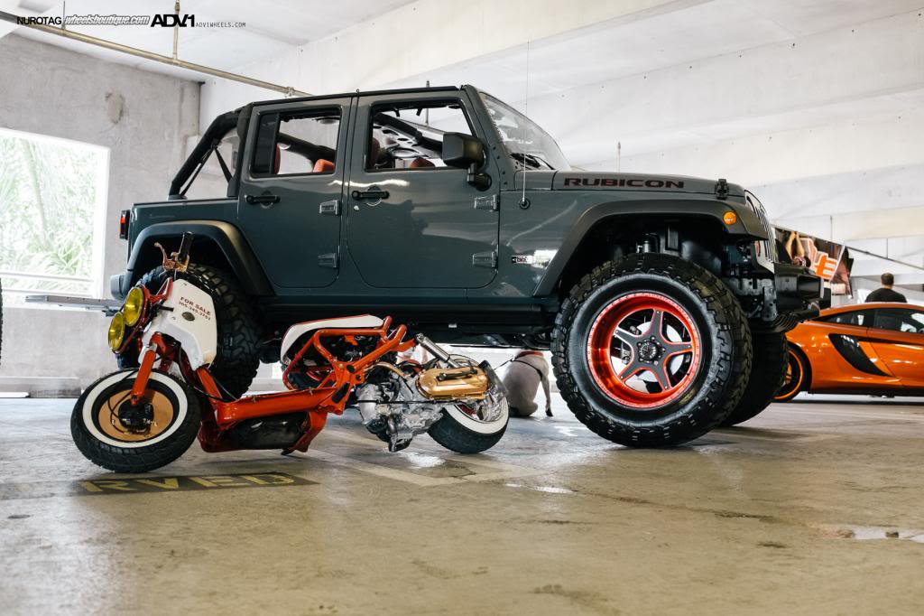 Name:  DSCF8212.jpg
Views: 43
Size:  101.8 KB