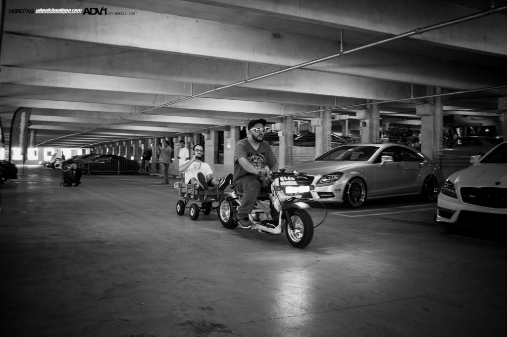 Name:  DSCF8239.jpg
Views: 44
Size:  73.6 KB