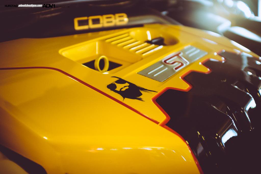 Name:  DSCF8237.jpg
Views: 40
Size:  51.1 KB