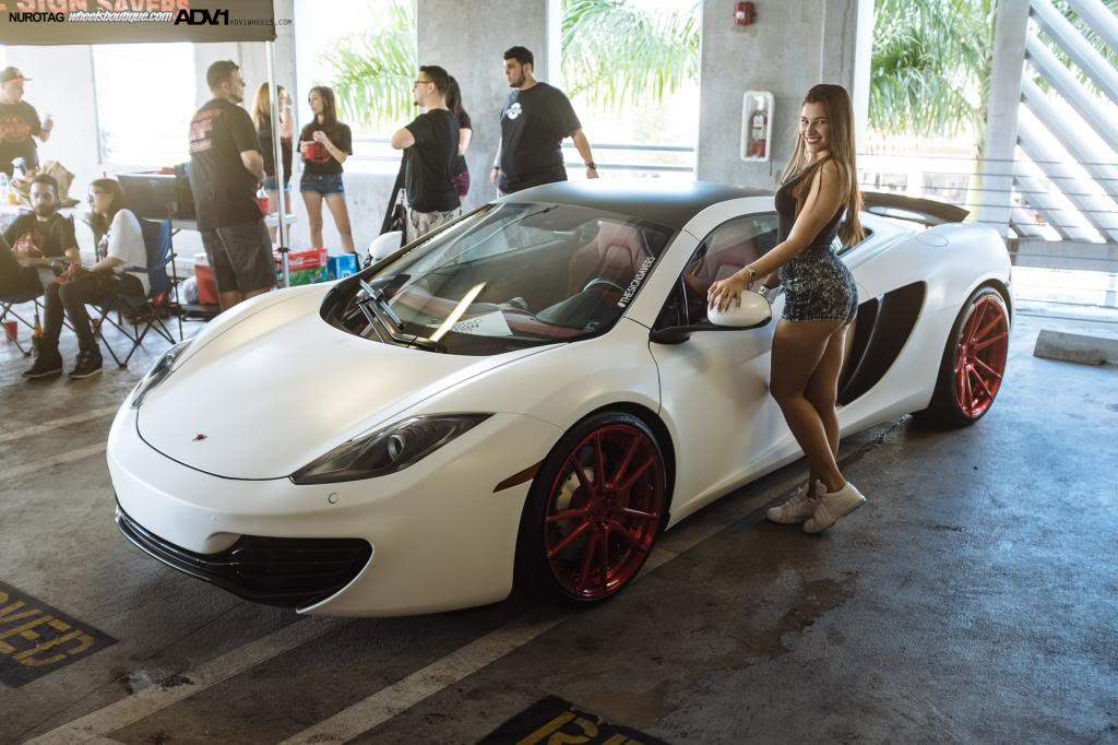 Name:  DSCF8305.jpg
Views: 52
Size:  102.5 KB