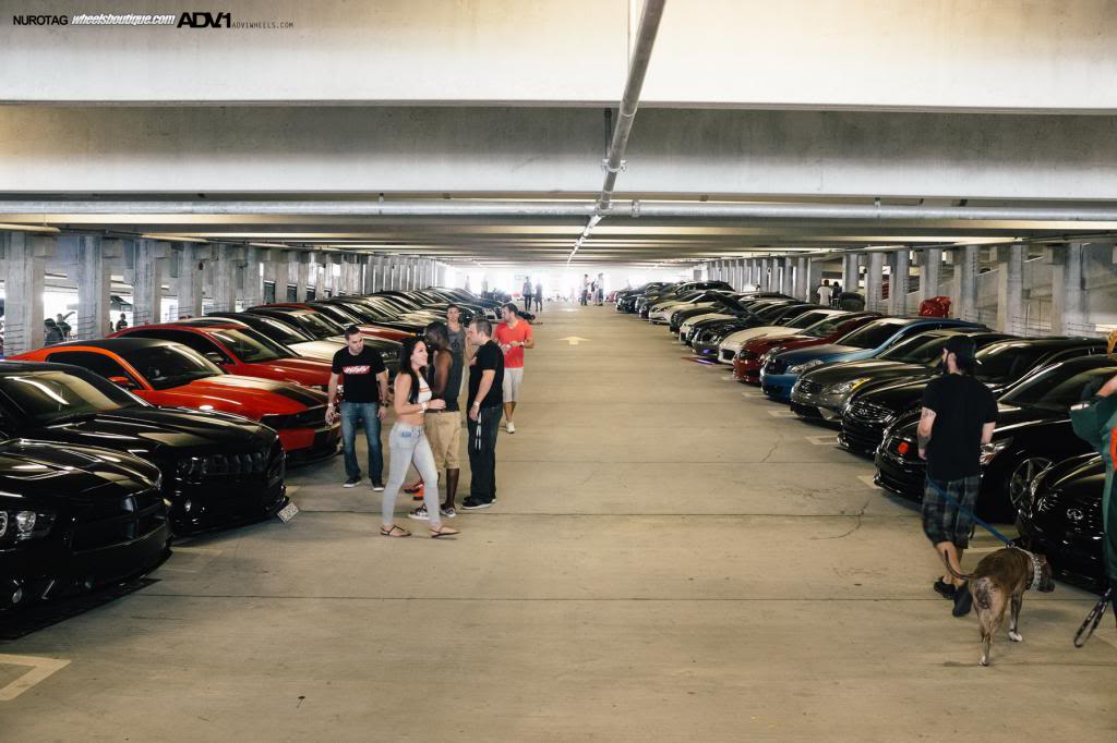 Name:  DSCF8294.jpg
Views: 54
Size:  94.3 KB