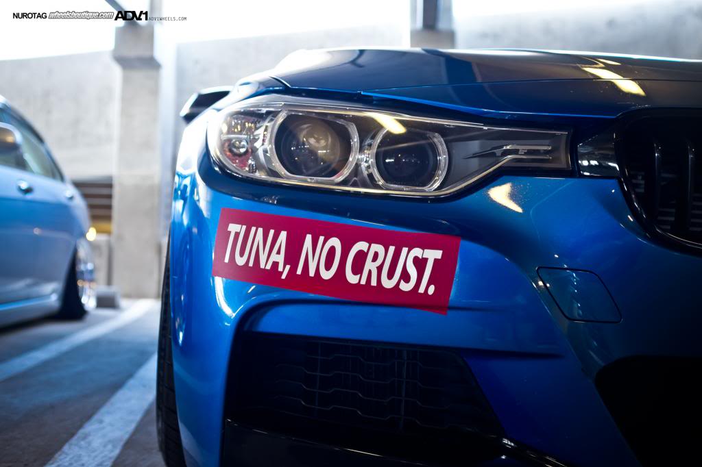 Name:  DSCF8333.jpg
Views: 70
Size:  67.3 KB