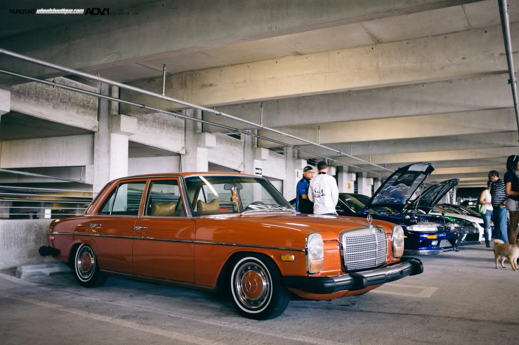 Name:  DSCF8370.jpg
Views: 60
Size:  99.5 KB