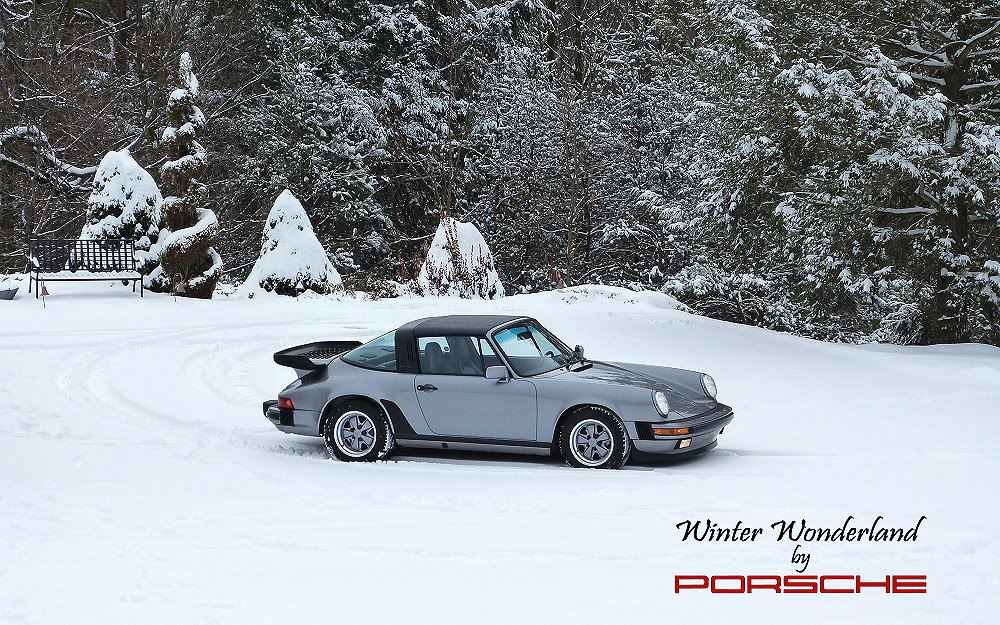 Name:  911Winterwonderlandnet.jpg
Views: 185
Size:  215.1 KB
