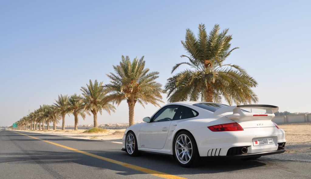 Name:  DSC_0401c_zps7e922e7d.jpg
Views: 60
Size:  75.8 KB