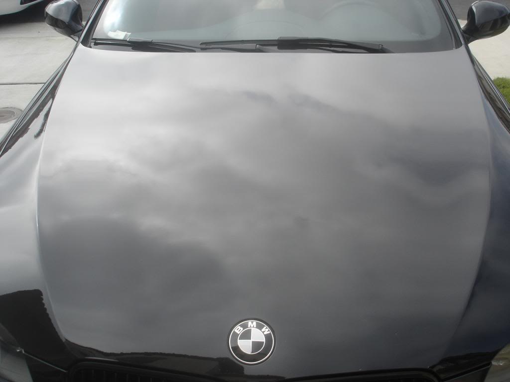 Name:  DSC08096_zps2200d34c.jpg
Views: 57
Size:  34.8 KB