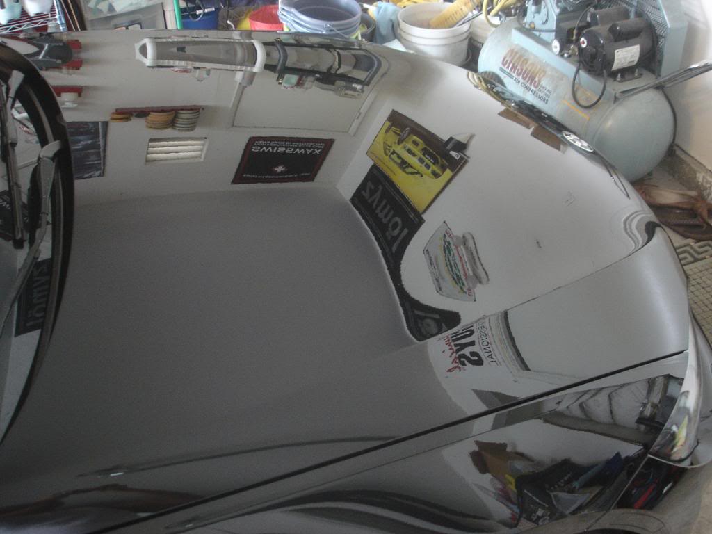 Name:  DSC08079_zps1236bfa2.jpg
Views: 57
Size:  72.0 KB