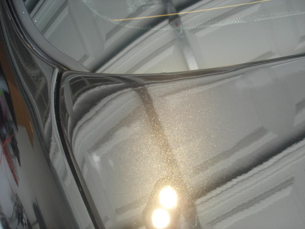 Name:  DSC08073_zps67d6ea92.jpg
Views: 55
Size:  59.4 KB