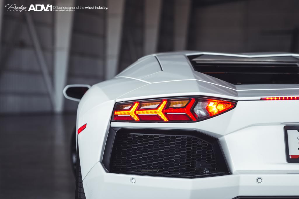 Name:  DSC_5251.jpg
Views: 51
Size:  54.5 KB