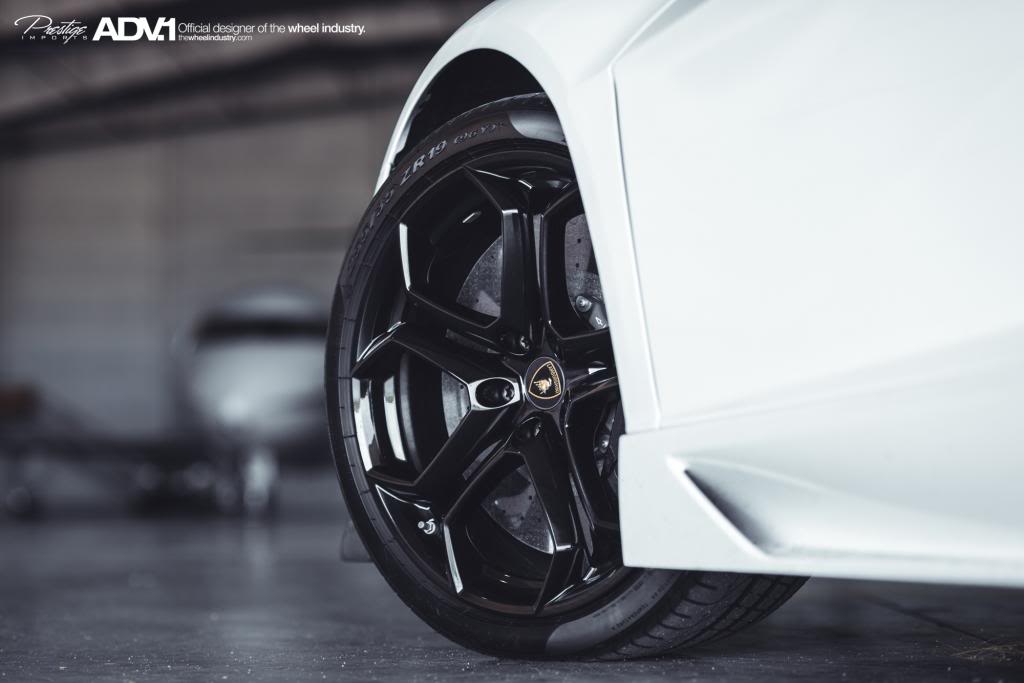 Name:  DSC_5287.jpg
Views: 40
Size:  47.0 KB