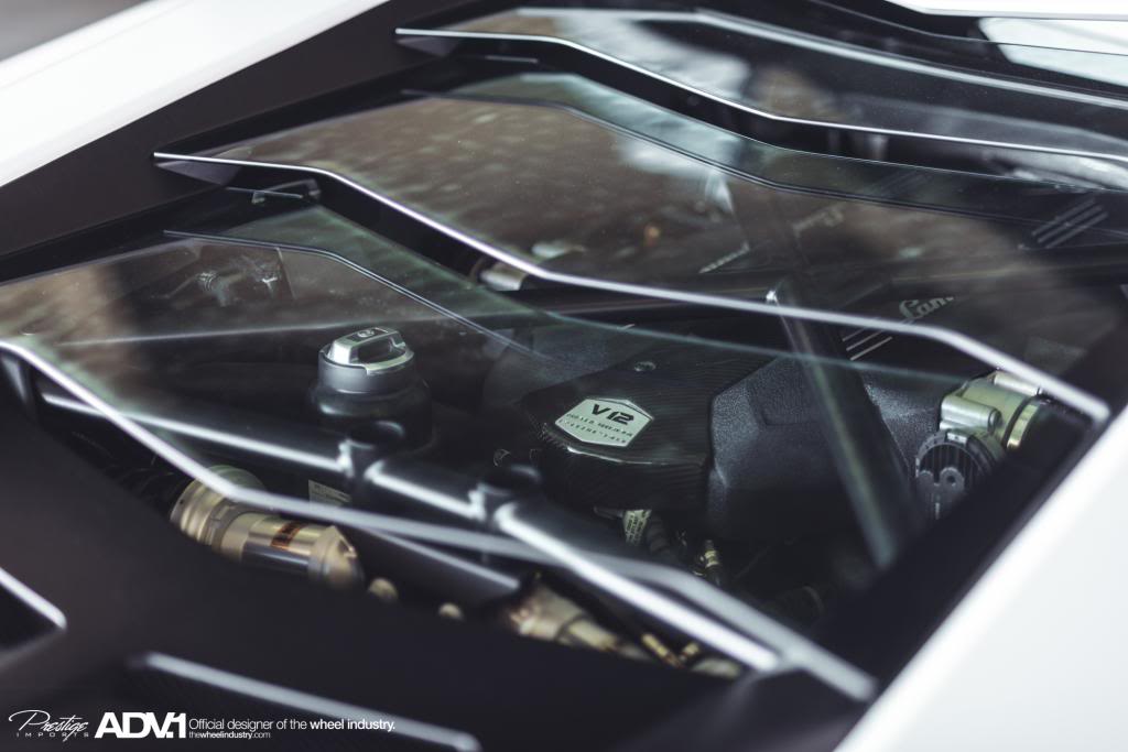 Name:  DSC_5283.jpg
Views: 34
Size:  61.0 KB