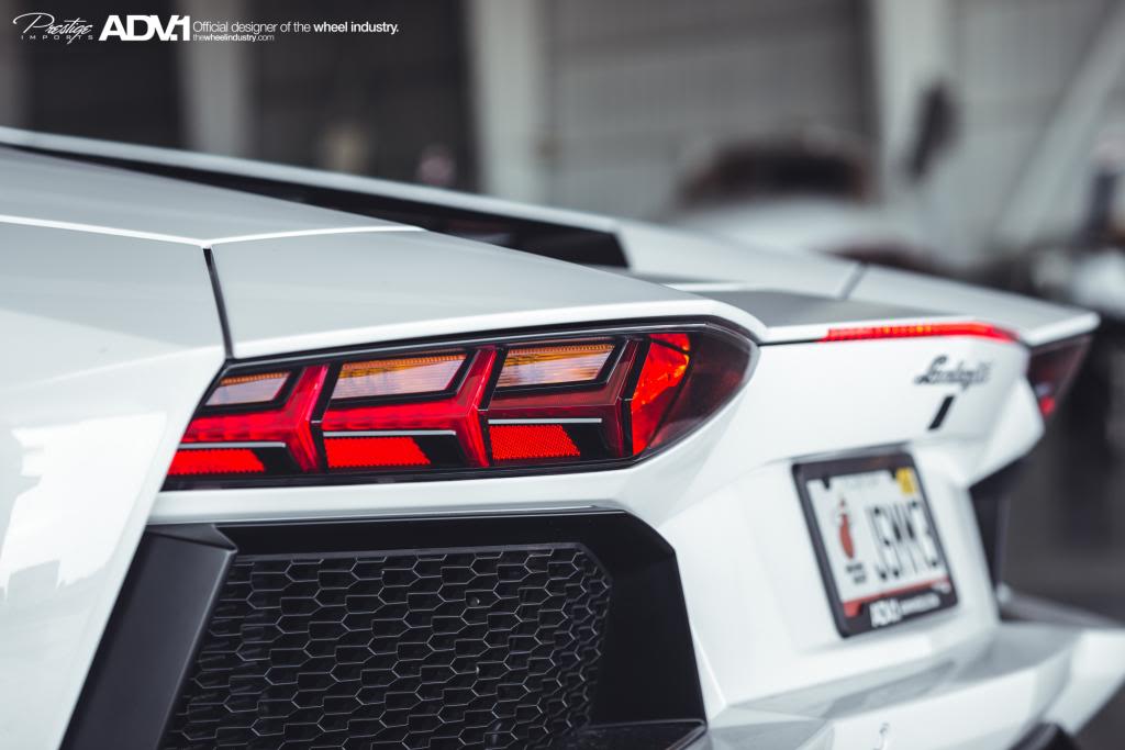 Name:  DSC_5247.jpg
Views: 33
Size:  61.5 KB