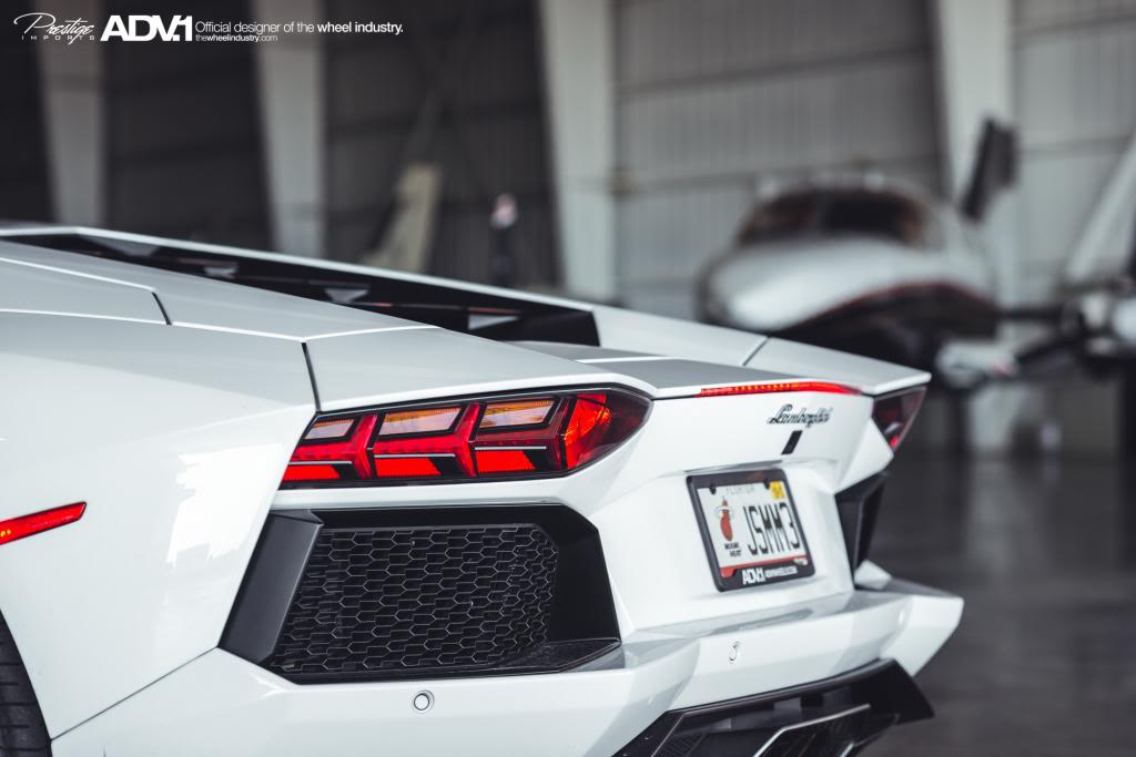 Name:  DSC_5244.jpg
Views: 44
Size:  58.9 KB