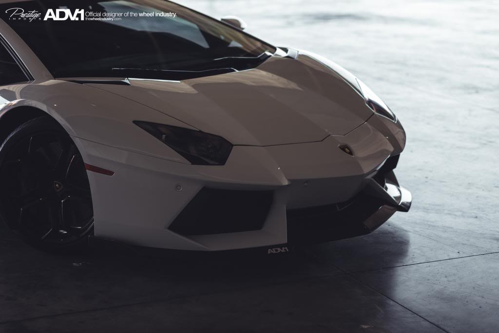 Name:  DSC_5301.jpg
Views: 43
Size:  41.9 KB