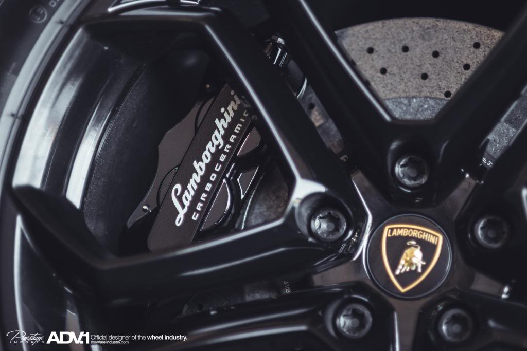 Name:  DSC_5291.jpg
Views: 29
Size:  63.3 KB